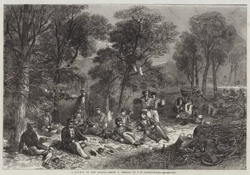 A Picnic in the Baltic